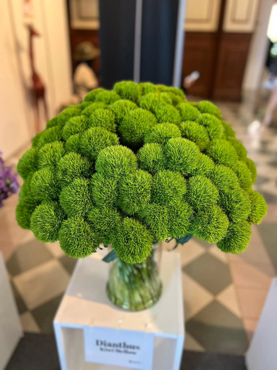 Green Dianthus bouquet