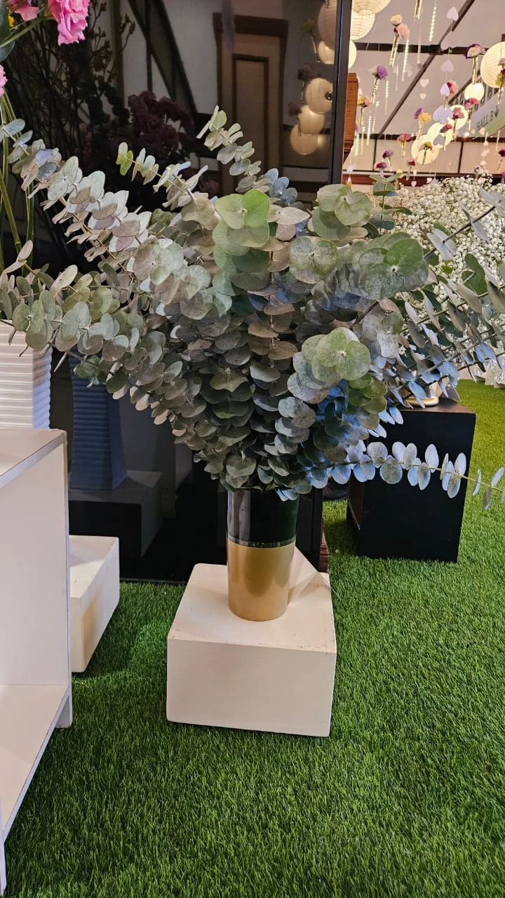 Eucalyptus foliage arranged in a vase