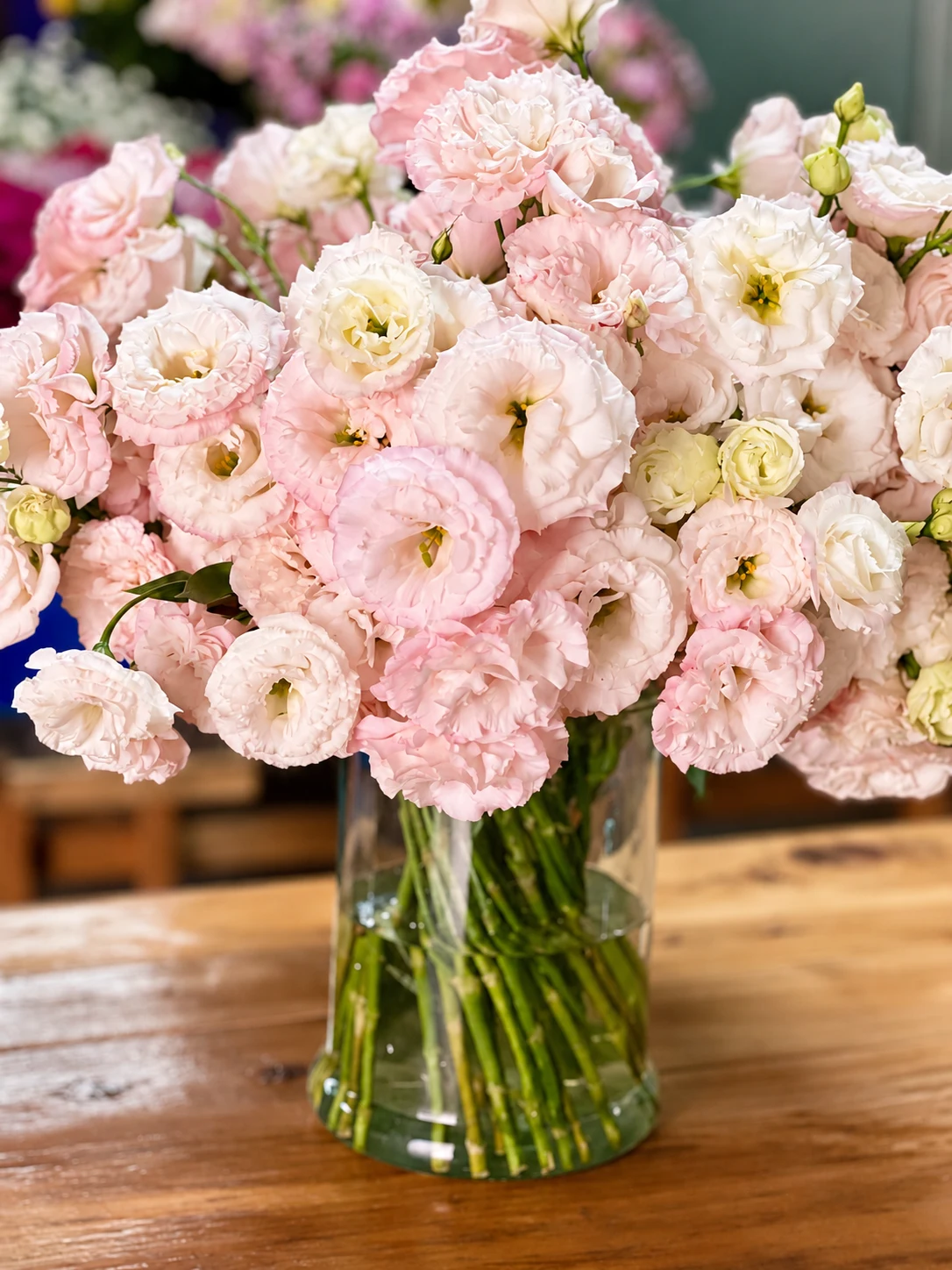 Pale pink Lisianthus