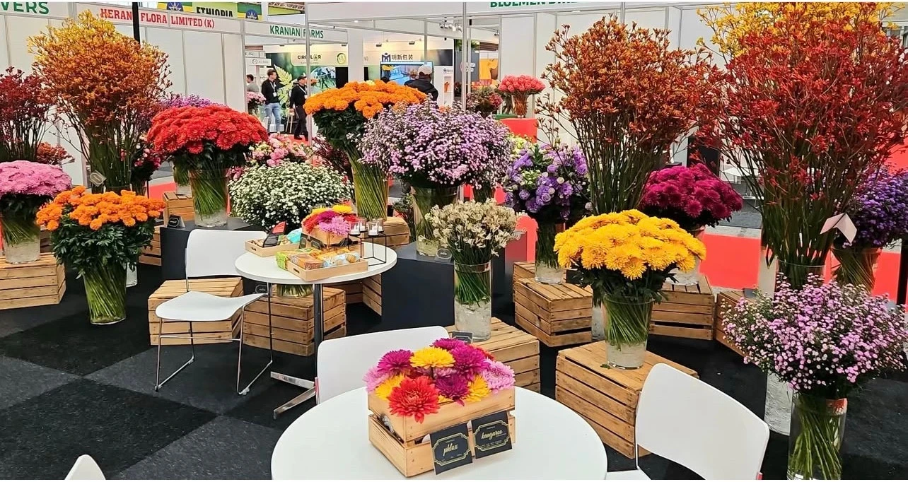 Mixed flowers arranged in vases on a 2025 exhibition display