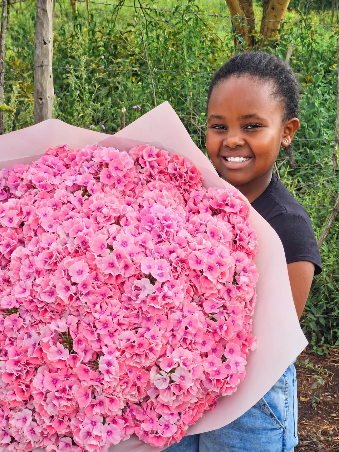 Pink Phlox bouquet